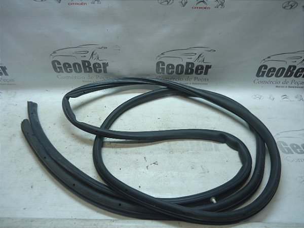 Borracha Contorno Porta Dianteira Direita Ford Focus 2013