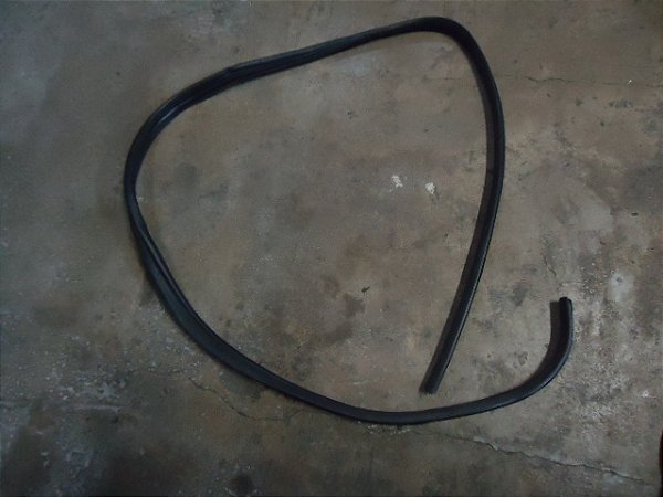 Borracha Porta Traseira Direita Ford Focus 2013 Hatch