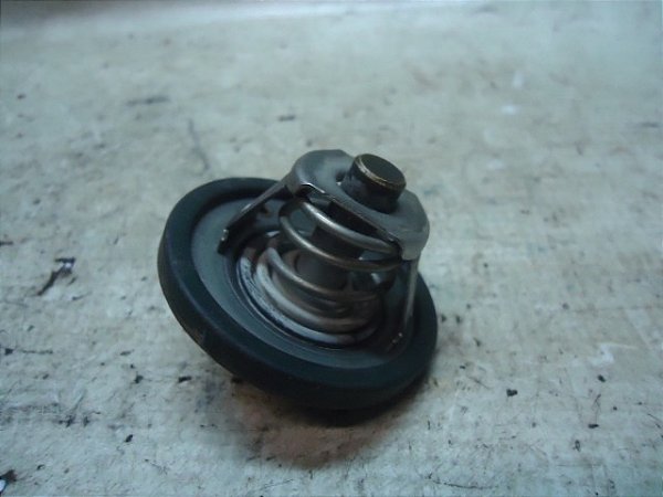 Valvula Termostatica New Fiesta Mexicano 11 A 13 1.6