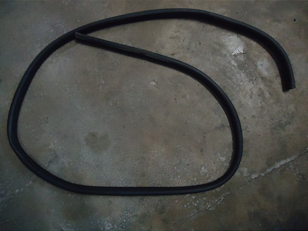 Borracha Porta Traseira Esquerda Ford Ecosport 13/13