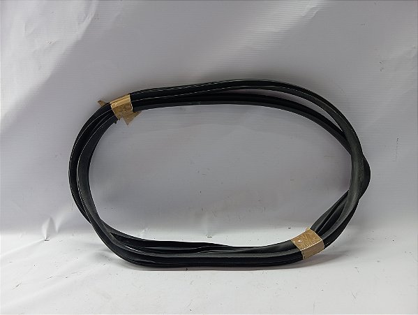 BORRACHA PORTA TRASEIRA ESQUERDA HYUNDAI CRETA 19 A 22