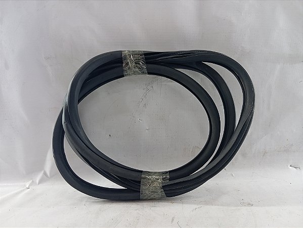 BORRACHA PORTA DIANTEIRA ESQUERDA PEUGEOT 2008 2019/20