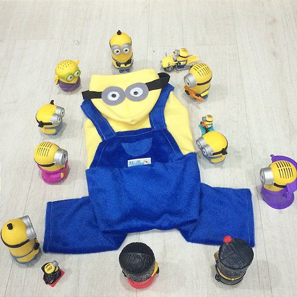 Fantasia Minion com Capuz