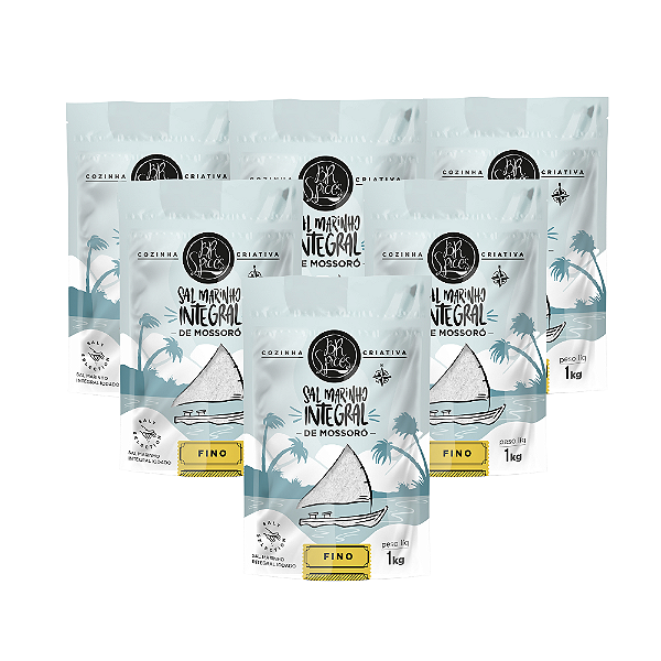 Kit 6 Sal Marinho Br Spices Integral Mossoró Fino Pouch 1kg