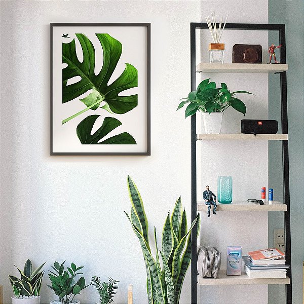 Quadro Costela de Adão