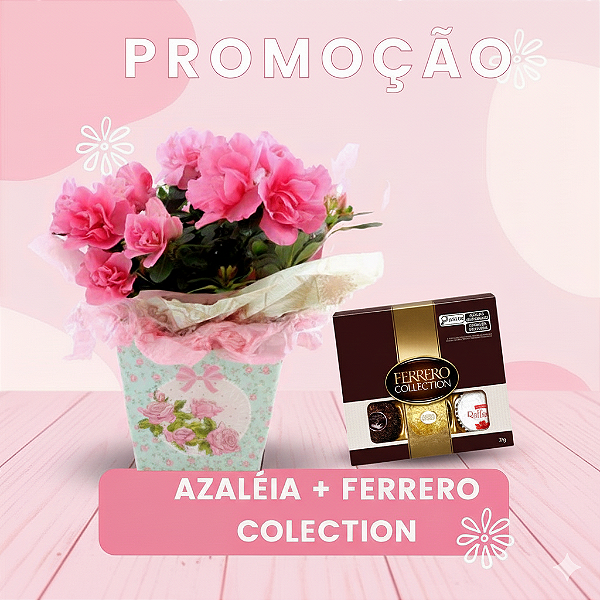 Combo Encanto: Azaleia Rosa & Ferrero Collection