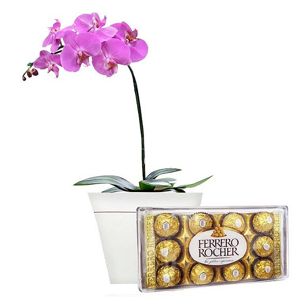 Luxuosa Orquídea  Pink em Cachepô, com Ferrero Rocher