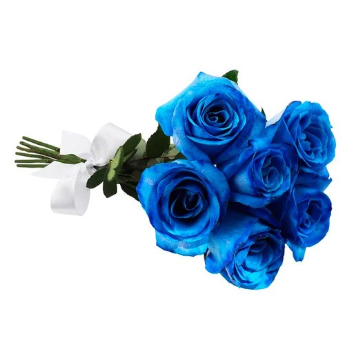 Buquê de 06 Rosas Azul Minimalista