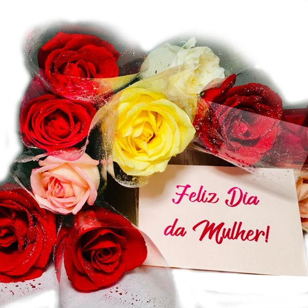 Botão de Rosa Colorida Embalada Individual para o Dia da Mulher - Pacote com 25 Unidades