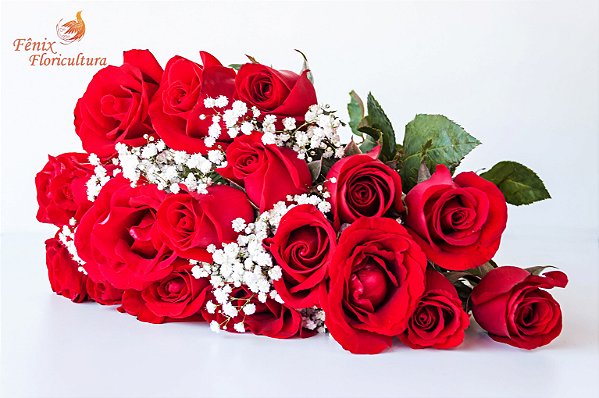 Buquê Tradicional de 18 Rosas Vermelhas