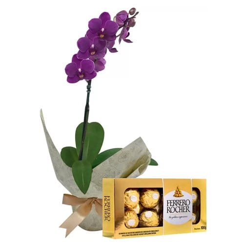 Mini Orquídea Rara Lilás Com Chocolate