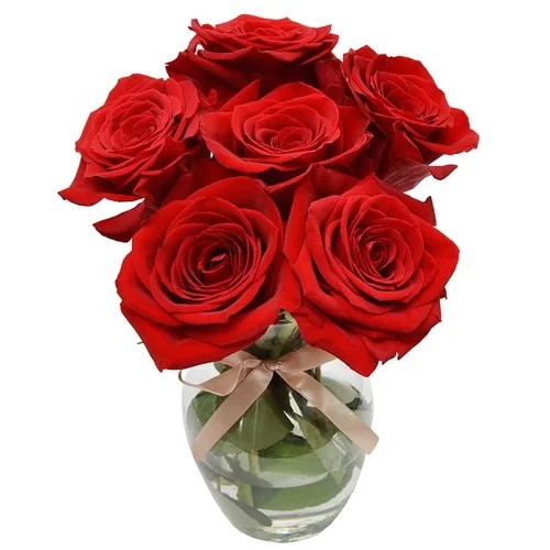 Surpresa de Rosas Colombianas