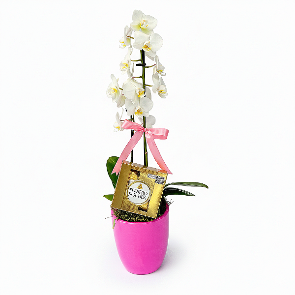 Mini Orquídea no Vaso com Ferrero Rocher