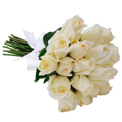 Buquê de 24 Rosas Brancas Minimalistas