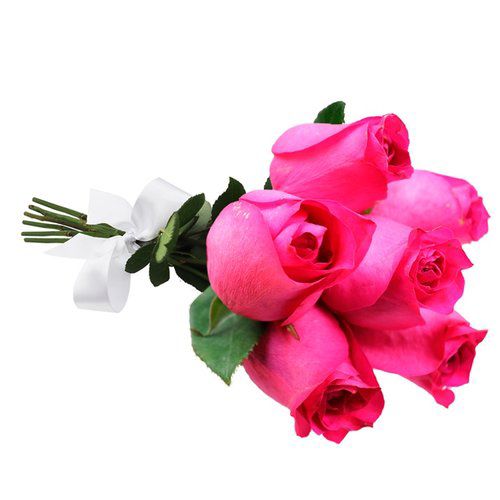 Buquê de 06 Rosas Pink Minimalista
