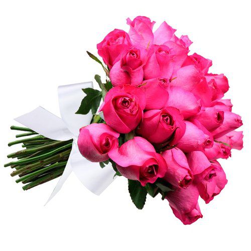 Buquê de 24 Rosas Pink Minimalistas