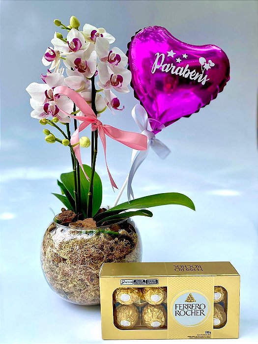 Mini Orquídea Rara Com Chocolate e Balão