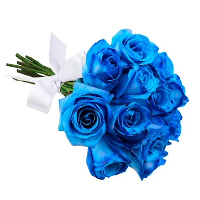 Buquê de 12 Rosas Azuis Minimalista