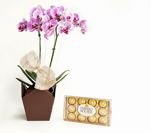 Orquídea Phaleonopsis Exótica com Chocolate Ferrero Rocher