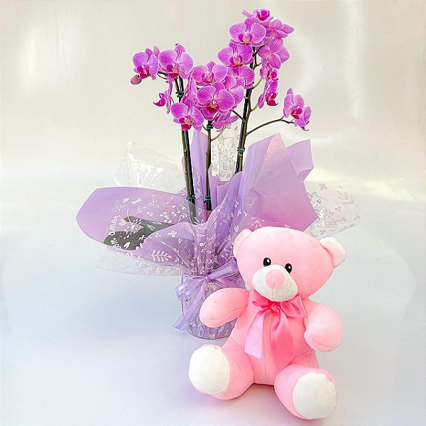 “Orquídea Encanto com Ursinho Rosa”