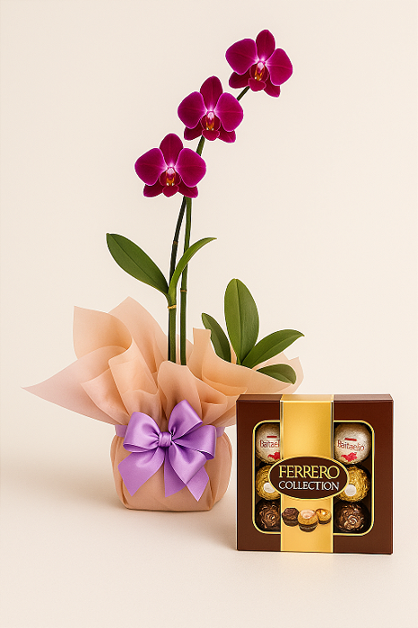 Orquídea Denphal com Chocolate