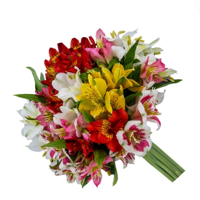 Buquê de Noiva Encanto de Astromélias