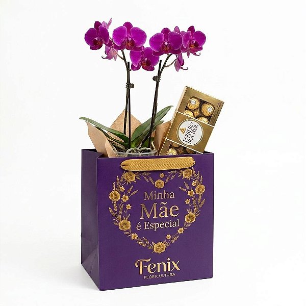 Kit Presente "Minha Mãe é Especial" (Mini Orquídea Lilás e Chocolates)