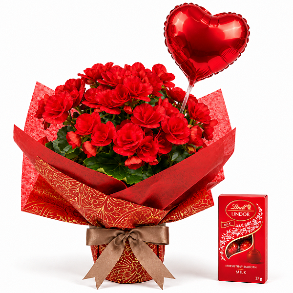 Amor que Floresce