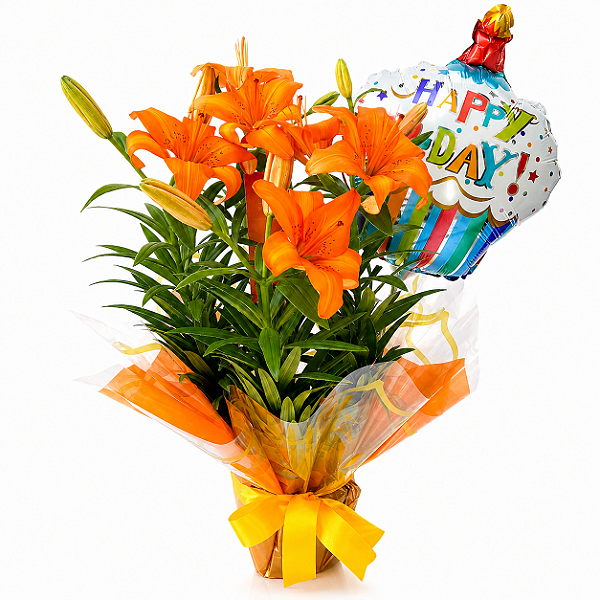 Lírio laranja Plantado com balão Happy-day