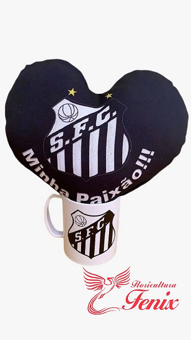 kit "Santos minha paixão!!!"