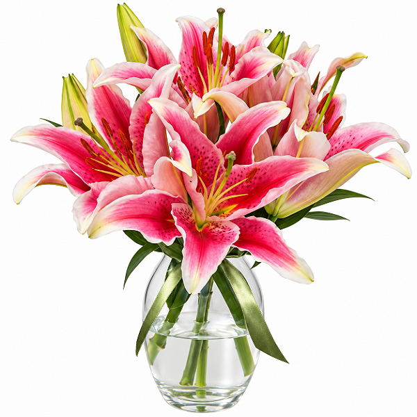 Surpresa de Lírios Rosa