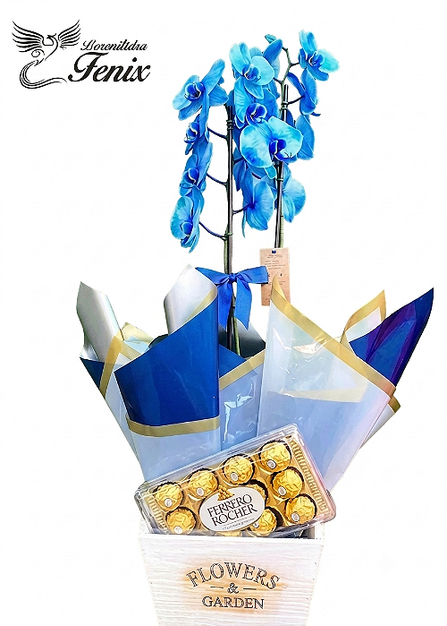 💙 Box Premium: Orquídea Azul Exclusiva & Ferrero Rocher
