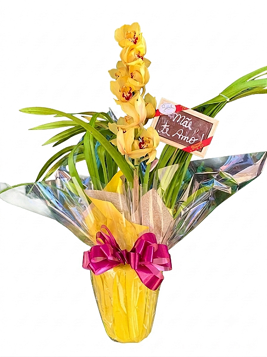 Luxuosa Orquídea Cymbidium com Chocolate "eu Te amo''