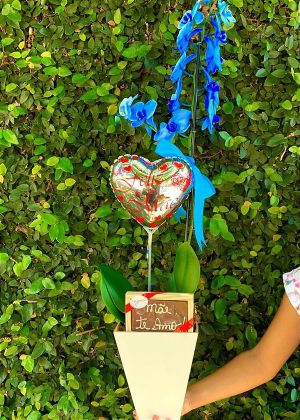 Orquídea Phalaenopsis Azul com Chocolate ''Mãe eu Te amo''