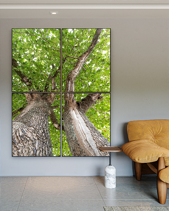 Conjunto com 04 Quadros Decorativos Árvores - Artista James Hilton Becker