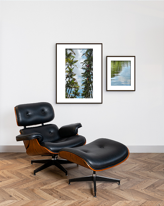 Conjunto com 02 Quadros Caminhos da Natureza com Paspatur - Artista Quintal Fotografia