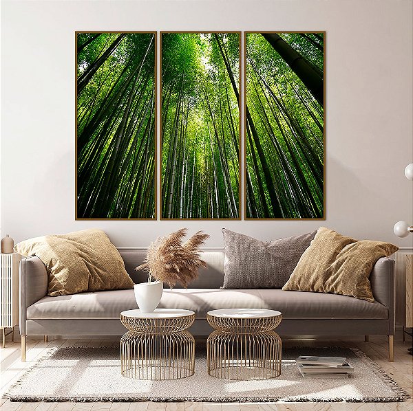 Conjunto com 03 quadros decorativos Floresta de Bambu