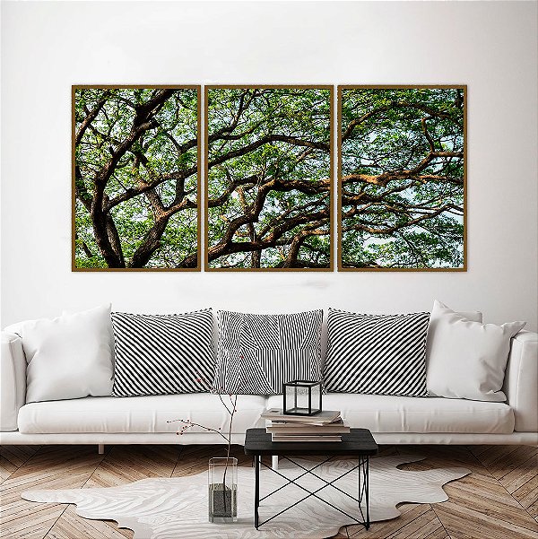 Conjunto com 03 quadros decorativos Galhos Árvore 50x70cm (LxA) Moldura Amadeirada