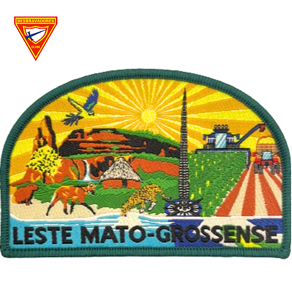 EMBLEMA DE CAMPO DBV- ASSOCIAÇÃO LESTE MATO-GROSSENSE - ALM