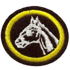 ESPECIALIDADE AGRÍCOLAS - CRIAÇÃO DE CAVALOS