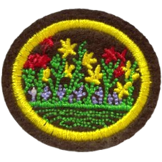 ESPECIALIDADE AGRÍCOLAS - FLORICULTURA