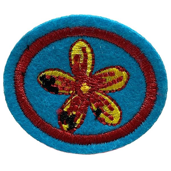 ESPECIALIDADE ARTES MANUAIS - FUXICO