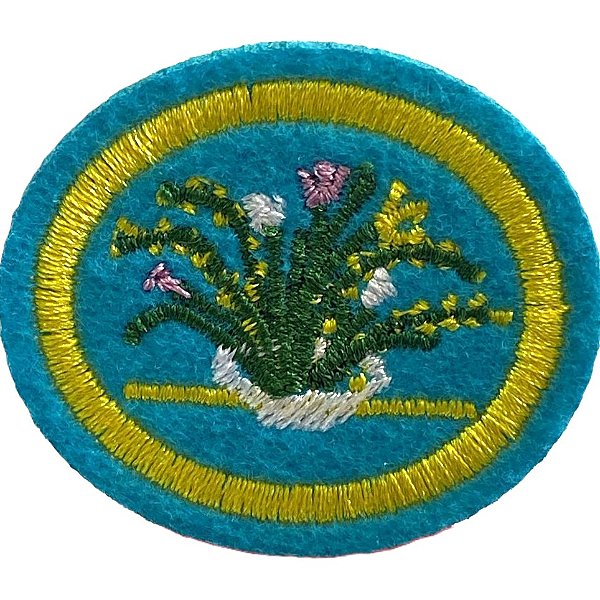 ESPECIALIDADE ARTES MANUAIS - ORNAMENTAÇÃO COM FLORES