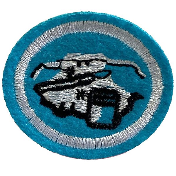 ESPECIALIDADE ARTES MANUAIS - PINTURA EM TECIDO