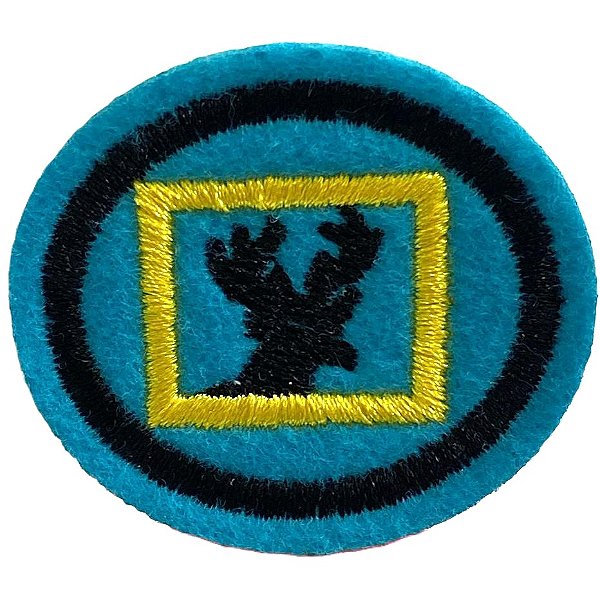 ESPECIALIDADE ARTES MANUAIS - PINTURA EM VIDRO