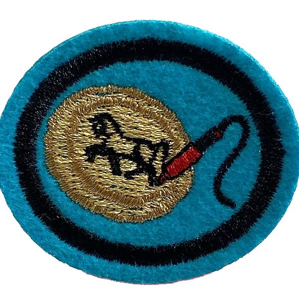 ESPECIALIDADE ARTES MANUAIS - PIROGRAFIA