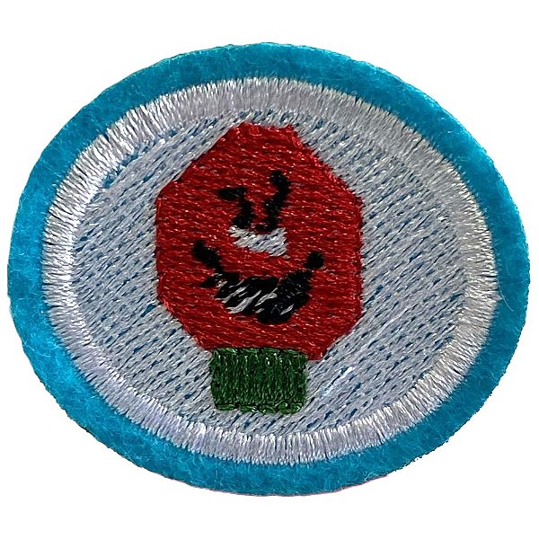 ESPECIALIDADE ARTES MANUAIS - PLÁSTICO CANVAS