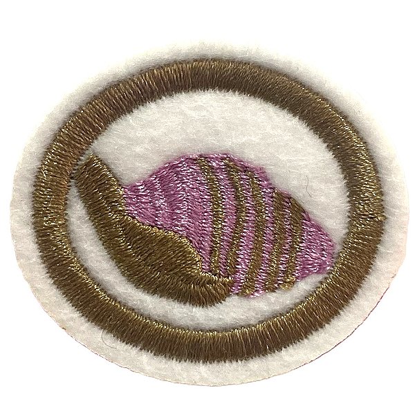 ESPECIALIDADE NATUREZA - MOLUSCOS