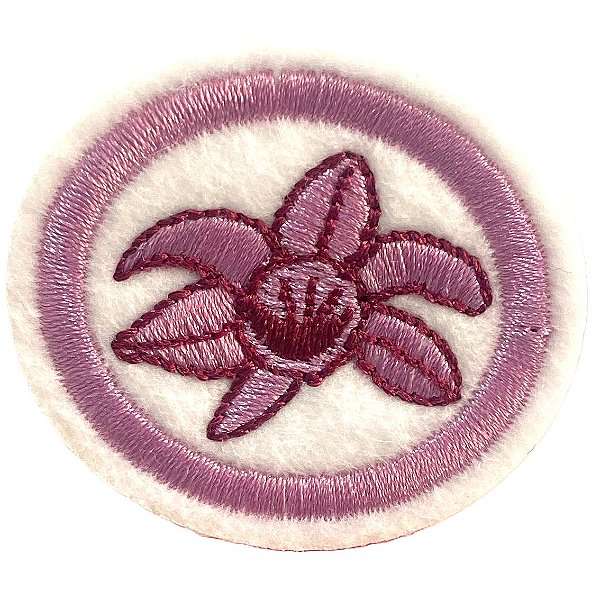 ESPECIALIDADE NATUREZA - ORQUÍDEAS