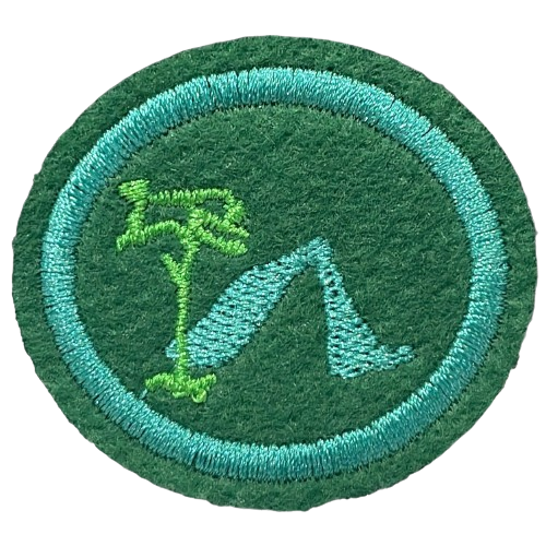 ESPECIALIDADE RECREATIVAS - ACAMPAMENTO I